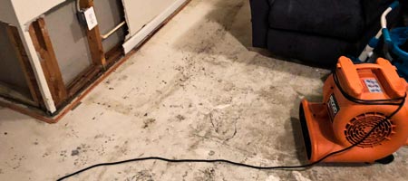 Mold Testing & Inspection in Boca Raton